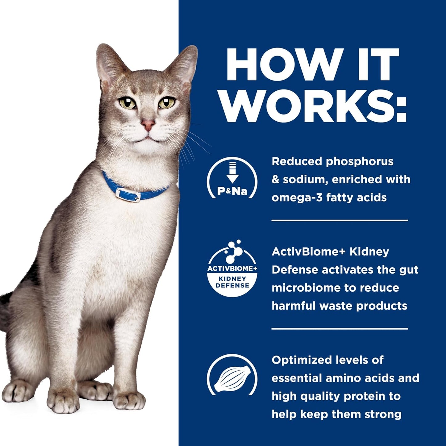 Hill'S Prescription Diet K/D Kidney Care Ocean Fish Dry Cat Food, Veterinary Diet, 4 Lb. Bag