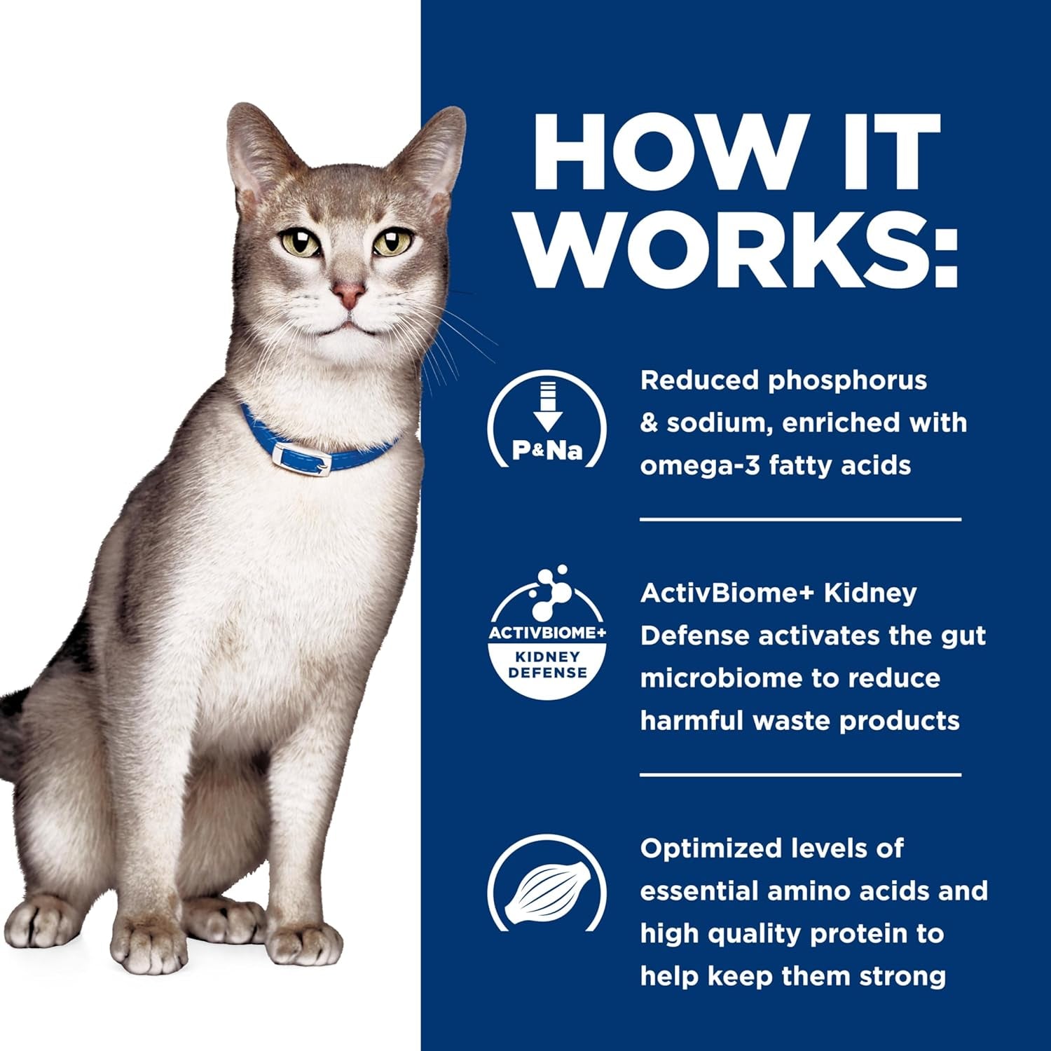 Hill'S Prescription Diet K/D Kidney Care Ocean Fish Dry Cat Food, Veterinary Diet, 4 Lb. Bag